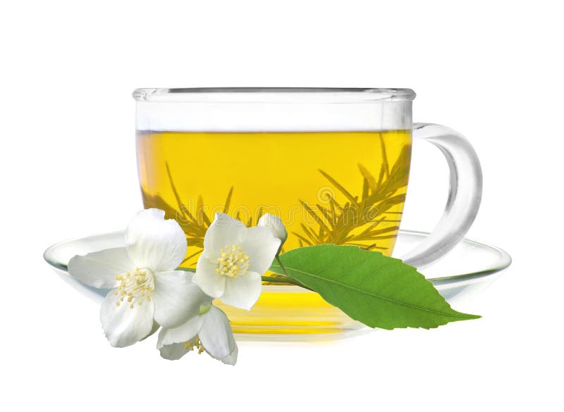 Cup of Green Tea with Jasmine Flowers Stock Photo Image of plant