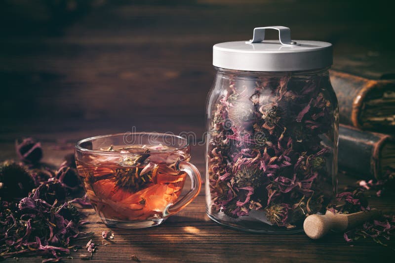 Cup of healthy echinacea tea, glass jar of dry coneflower herbs and old books on table