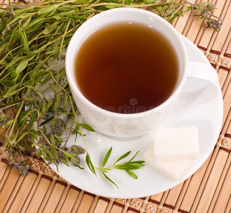 Cup of herbal tea stock photo. Image of salutary, sanative 28145216
