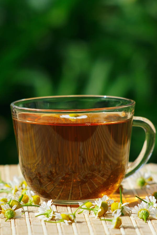 Cup of Herbal Tea with Chamomile and Green Leaf Stock Image Image of