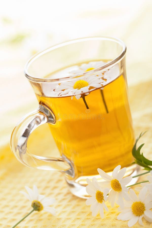 Cup of Herbal Tea with Chamomile Flowers Stock Photo Image of herb