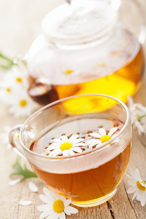 Cup of Herbal Tea with Chamomile Flowers Stock Photo Image of tannin