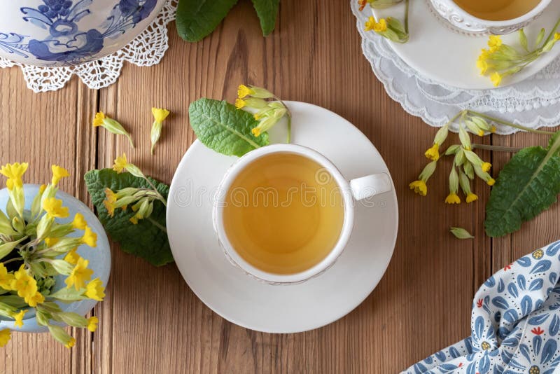 A cup of herbal tea with primula flowers, top view