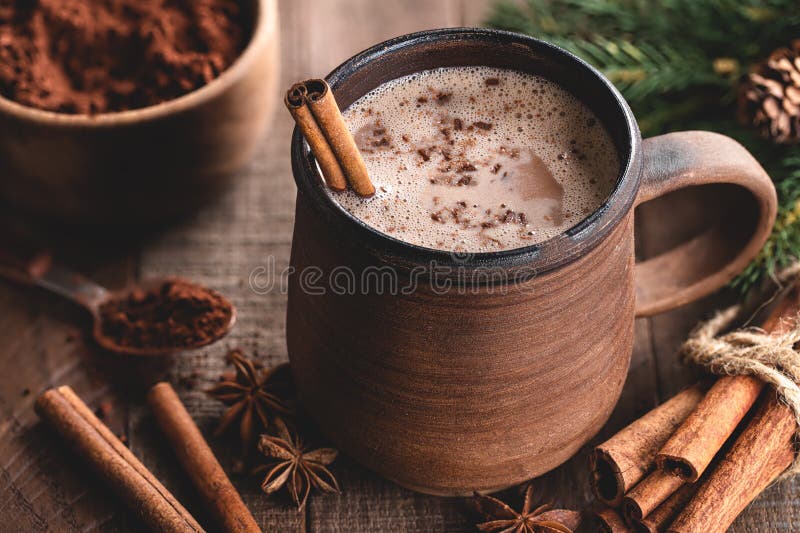 Cup of Hot Chocolate With Cinnamon Stick