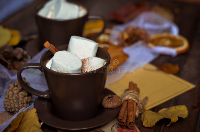 Cup of hot chocolate, coffee with marshmallow