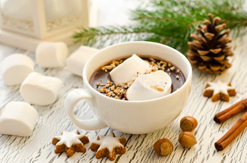 Cup of hot chocolate marshmallows and cinnamon christmas star co