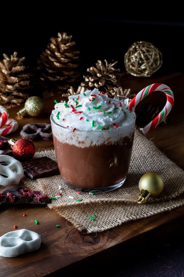 A Cup of Hot Cocoa Topped with Whip Cream and Sprinkles, Ready for