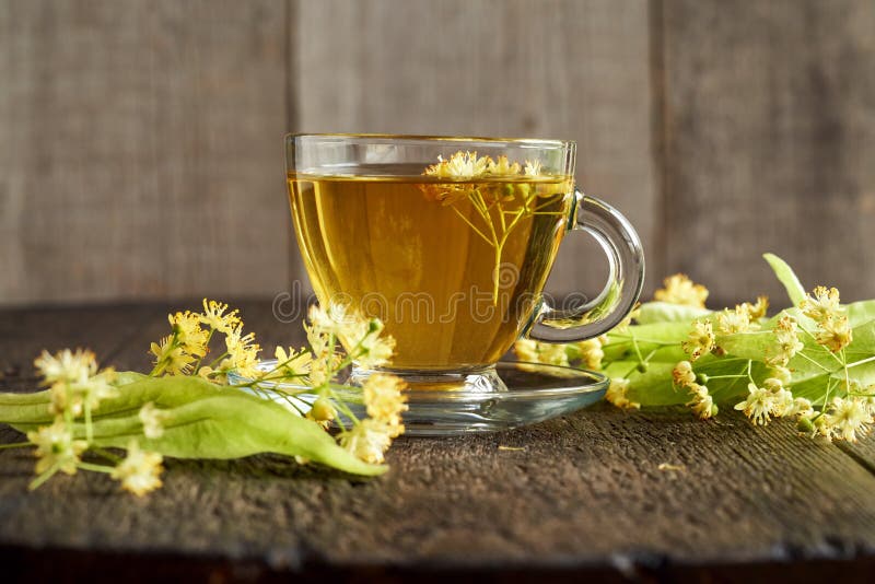A Cup of Linden Tea with Fresh Linden Flowers Stock Image Image of