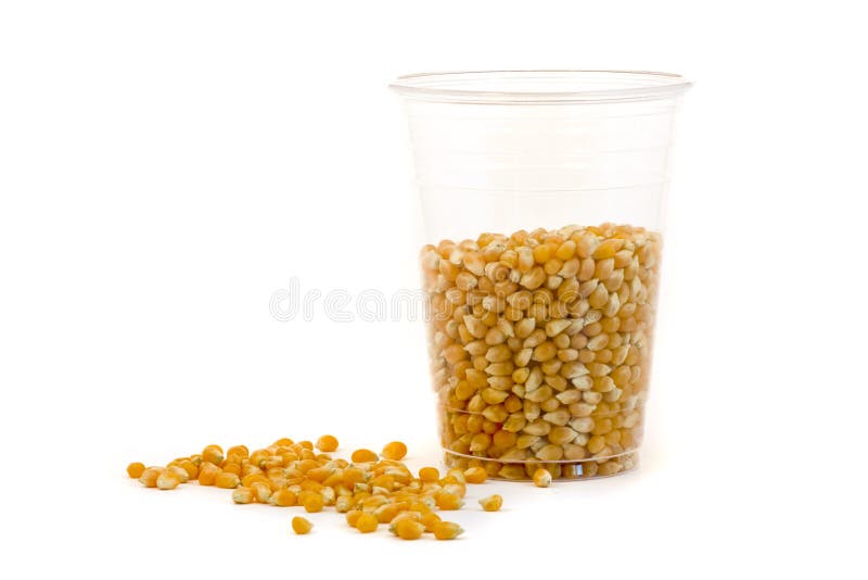 Cup made from corn stock photo. Image of maize, renewable 11218942