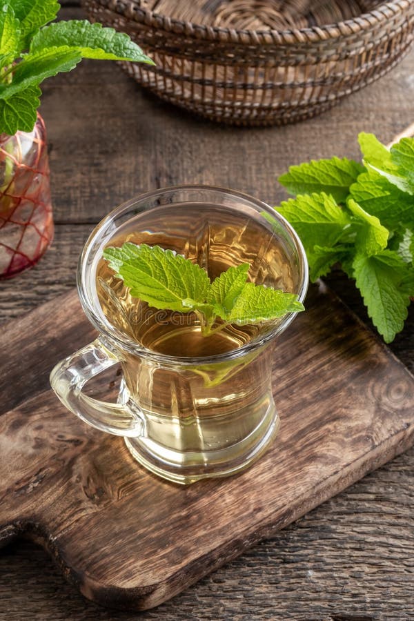 A Cup of Melissa Tea with Fresh Melissa Twigs Stock Image Image of