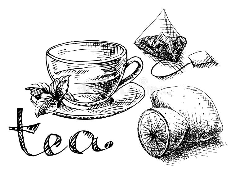 Cup, mint and tea bag stock illustration Cup, mint and tea bag stock illustration