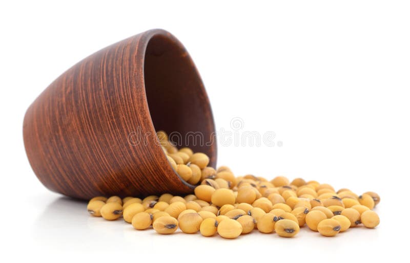 A cup with soybeans stock photo. Image of farm, harvest 267819700