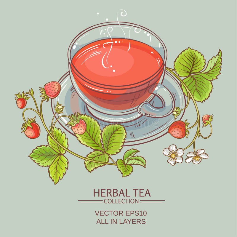 Strawberry Tea Illustration Stock Vector Illustration of healthy