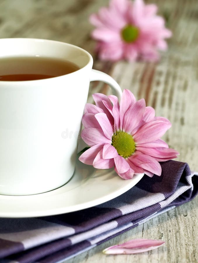 cup of tea and chrysanthemums on old wooden