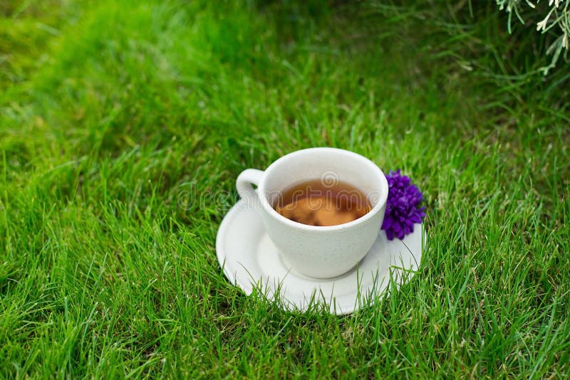 Cup of Tea or Coffee on Fresh Green Grass with Flower Stock Photo