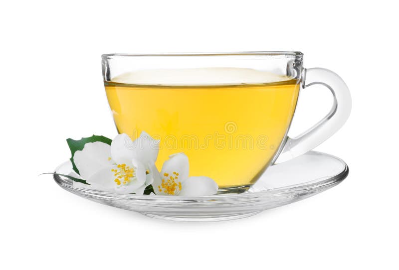 Cup of Tea and Fresh Jasmine Flowers Isolated on White Stock Image