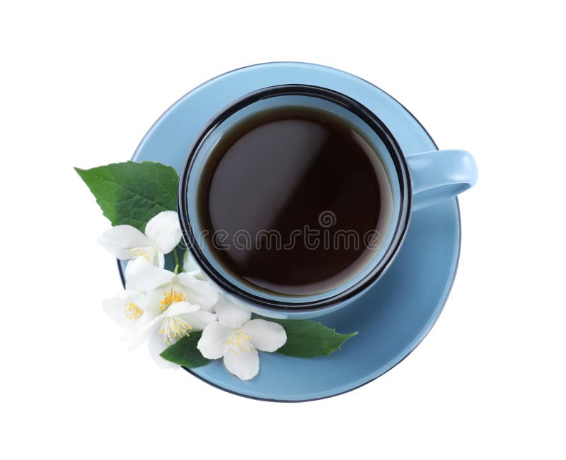 Cup of Tea and Fresh Jasmine Flowers Isolated, Top View Stock Photo