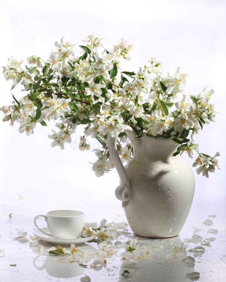 Cup of tea and jasmin bouquet in a ceramic vase on a white background