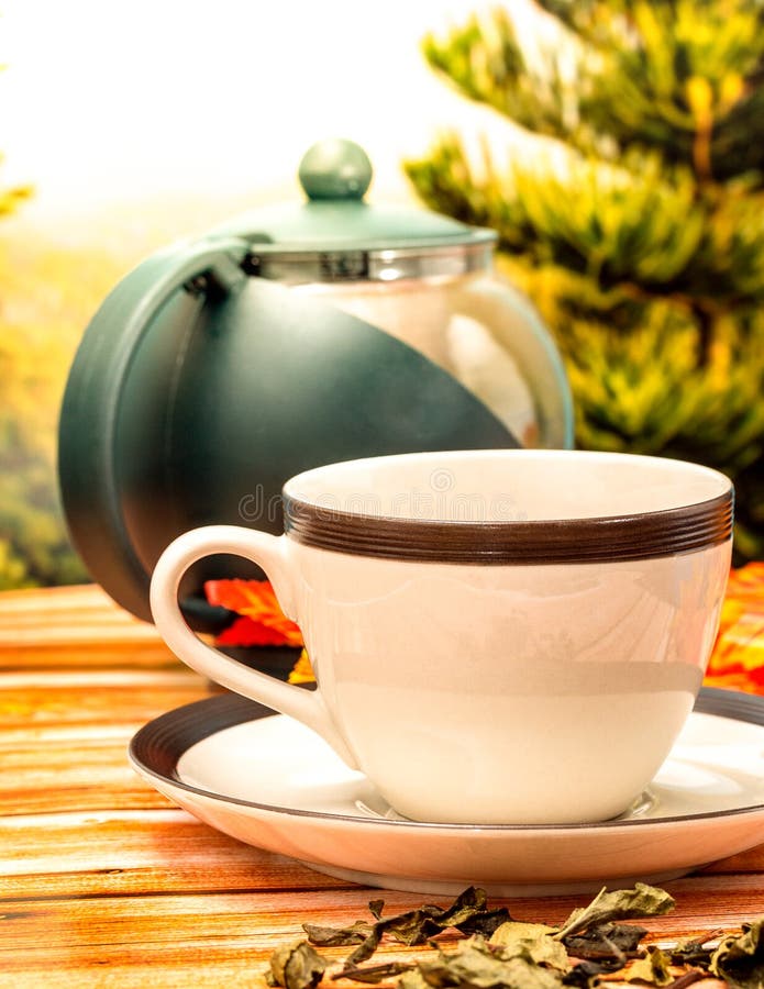 Cup of Tea Means Cafeterias Restaurants and Refreshes Stock Photo