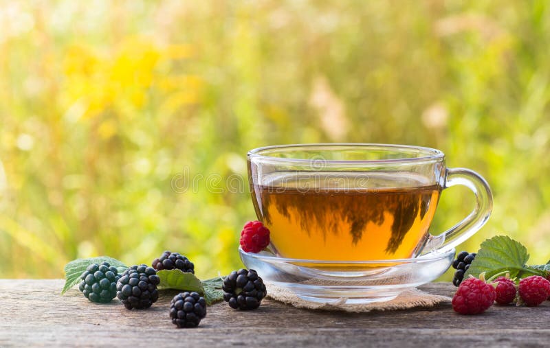 Cup of tea with raspberry and blackberry on meadow background royalty free stock photo Cup of tea with raspberry and blackberry on meadow background royalty free stock photo