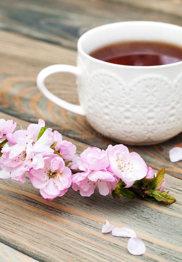 Cup Of Tea And Sakura Blossom Stock Photo Image of fresh, blossom