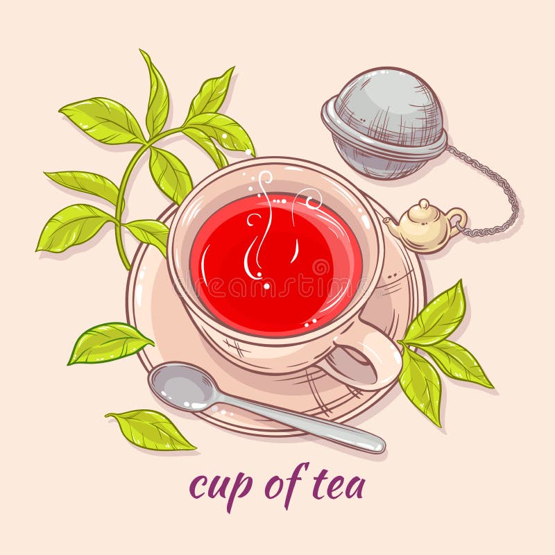 Cup of Tea with Spoon and Strainer Stock Vector Illustration of