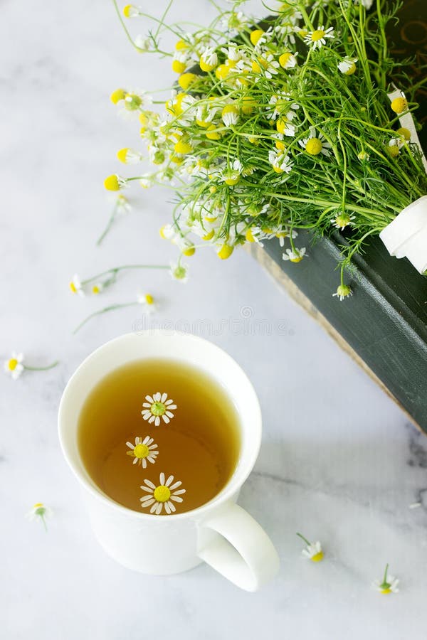 A Cup Of Useful Soothing Chamomile Tea, A Bouquet Of Daisies And Books ...