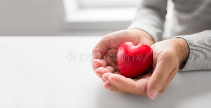 Cupped senior man hands with red heart shape