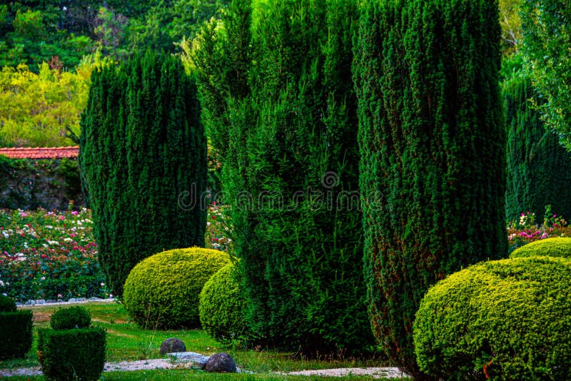 A próximo decorando plantas en hermoso jardín en alemania.