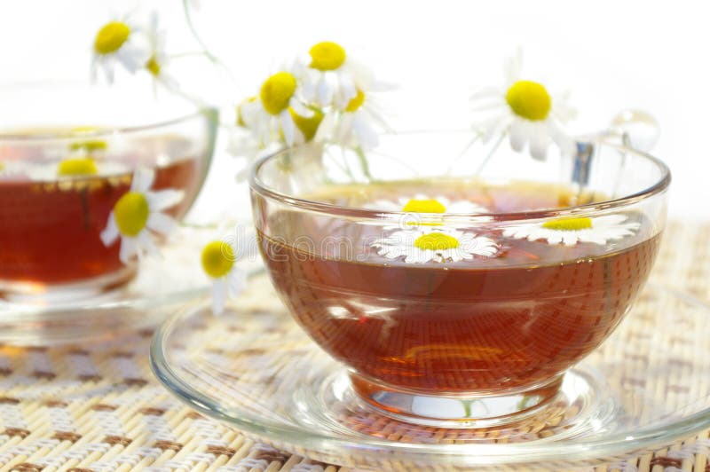 Cups of tea and chamomile blossoms