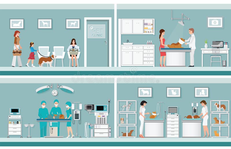 Pet care with veterinary in pet clinic, animal health care conceptual vector illustration. Pet care with veterinary in pet clinic, animal health care conceptual vector illustration.