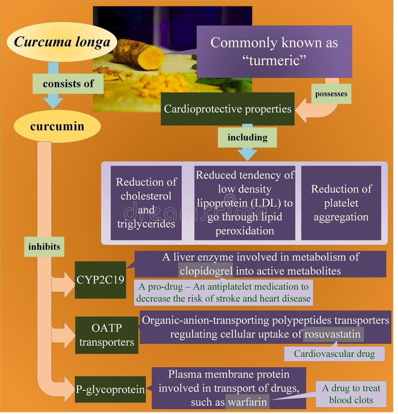 Drug Interaction Studies Stock Illustrations 12 Drug Interaction
