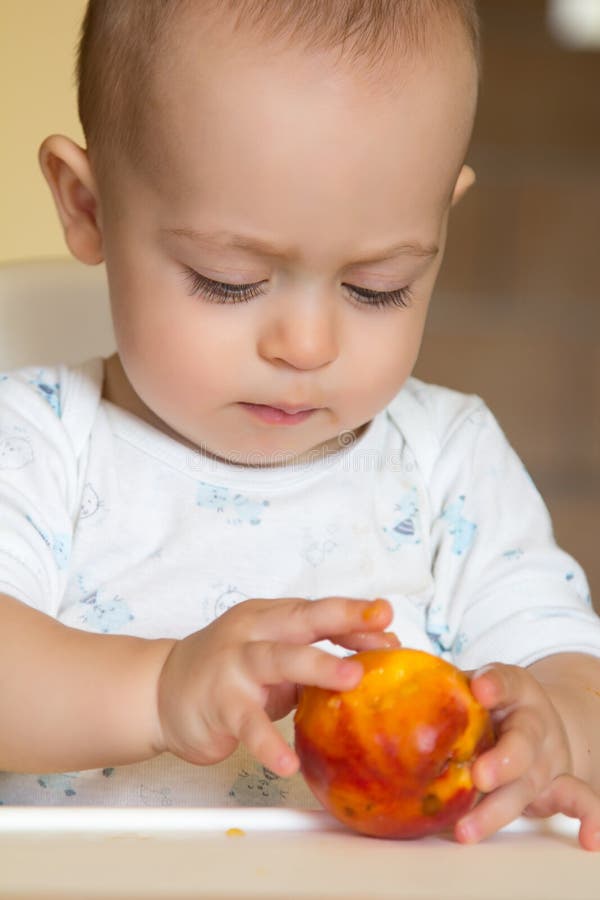 Curious Baby Boy Examines a Peach Stock Photo Image of young, peach 27073156