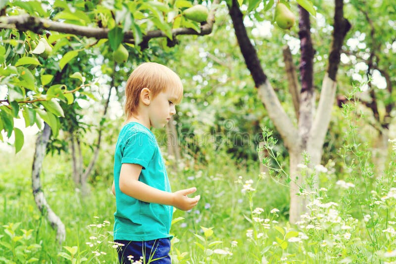 Curious Blond Boy Catching Insects in Garden. Cute Child Having Fun ...