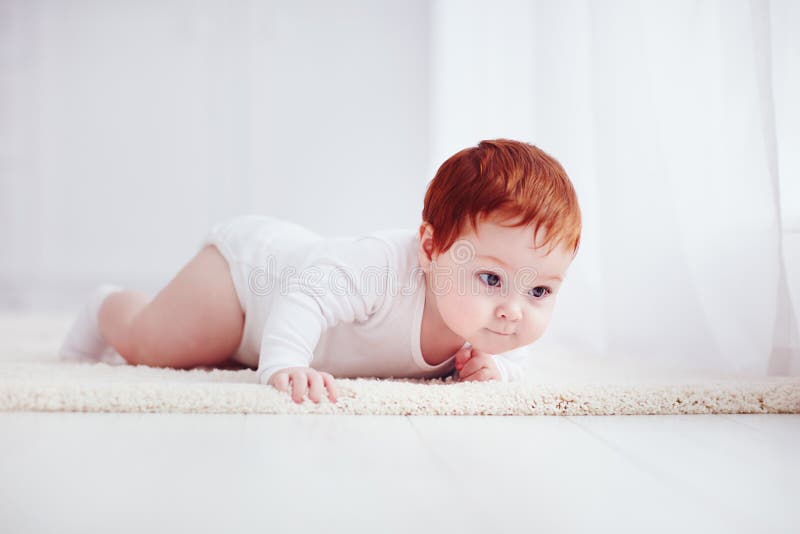 Curious, Nine Months Old Baby Crawling on Carpet at Home Stock Image