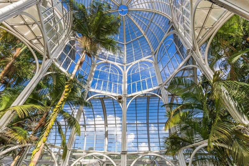 CURITIBA, PARANA/BRAZIL - 26 DÉCEMBRE 2016 : Jardin botanique dans un jour ensoleillé photographie stock CURITIBA, PARANA/BRAZIL - 26 DÉCEMBRE 2016 : Jardin botanique dans un jour ensoleillé photographie stock