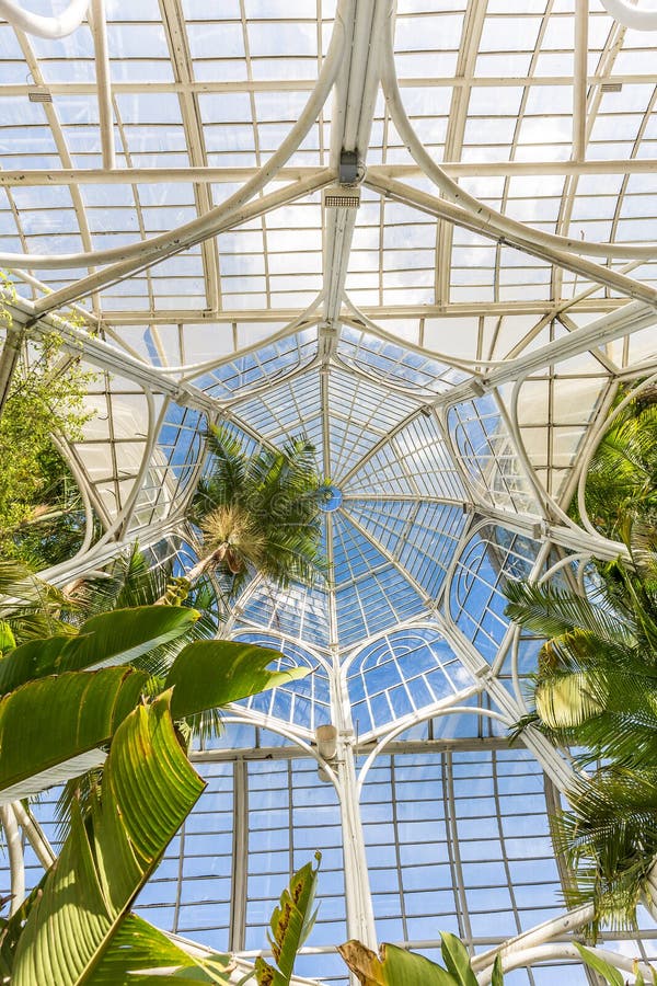 CURITIBA, PARANA/BRAZIL - 26 DÉCEMBRE 2016 : Jardin botanique dans un jour ensoleillé photo stock CURITIBA, PARANA/BRAZIL - 26 DÉCEMBRE 2016 : Jardin botanique dans un jour ensoleillé photo stock