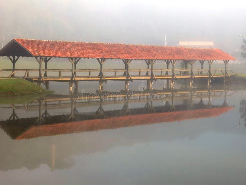 Curitiba Park Lake Bridge