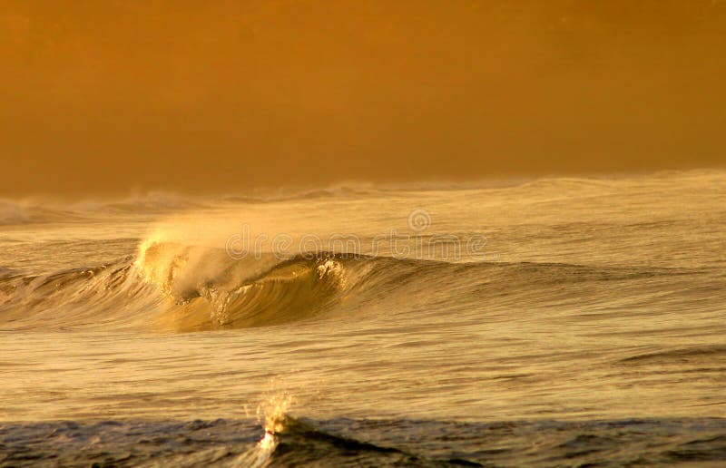 Foto di un'onda di curling vicino alla riva di una spiaggia in Costa Rica al Tramonto.