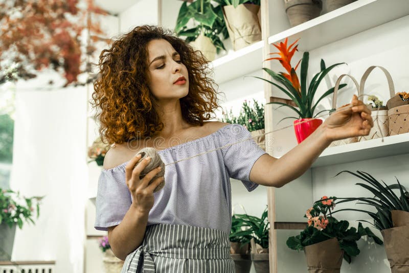 Curly florist looking at beige thread while making bouquet for client royalty free stock photo Curly florist looking at beige thread while making bouquet for client royalty free stock photo