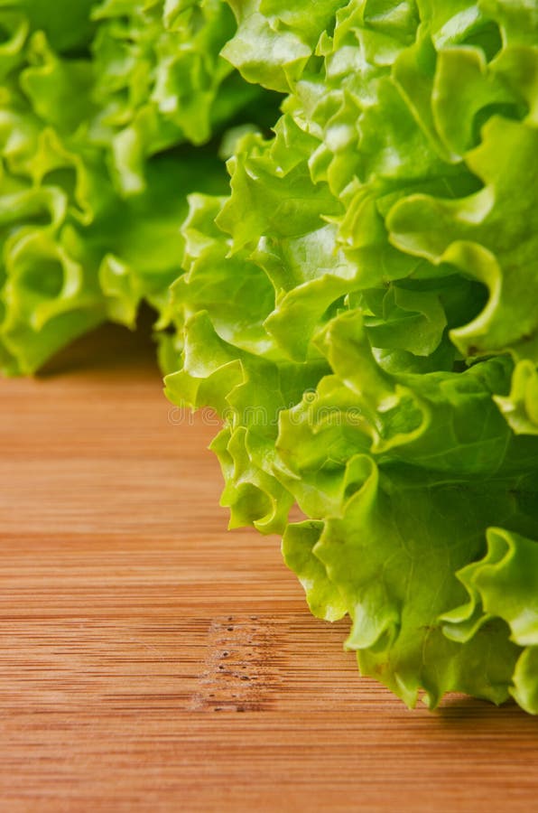 Curly green salad stock image. Image of meal, food, greens 25030343