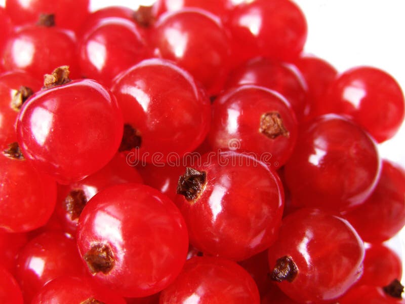 Currant Sweet and Sour Red Berries Stock Photo Image of close