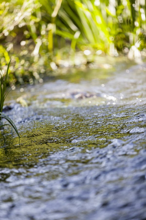 The current river stock photo. Image of blue, flow, autumn 142493408