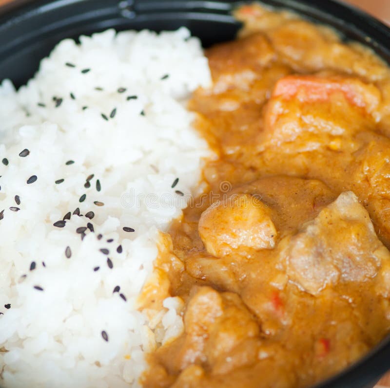 Curry con riso immagine stock Curry con riso immagine stock