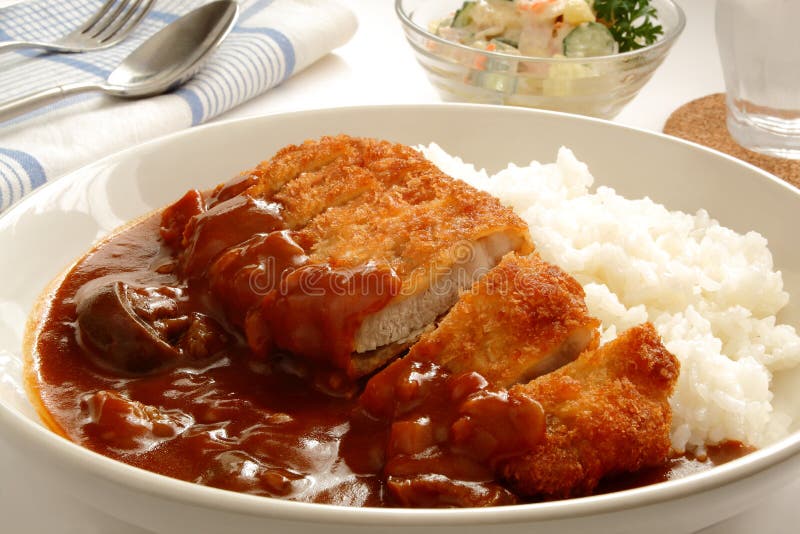 Curry Rice with Pork Cutlet, Called `Katsu-curry` in Japanese Stock