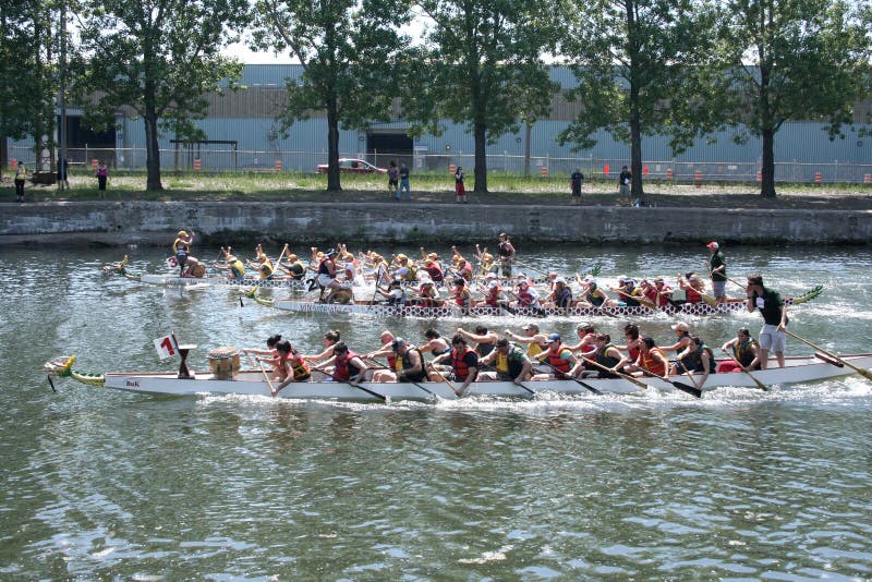 Regata de barcos dragão fotos de stock