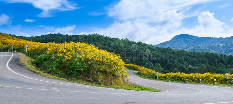 Curve road on a mountain