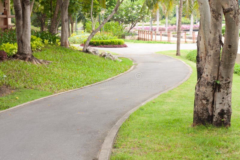 Curve sidewalk in the park