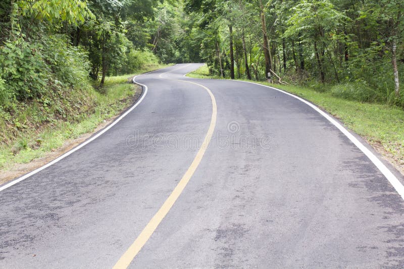 Curve way of asphalt road through the tropical forest .