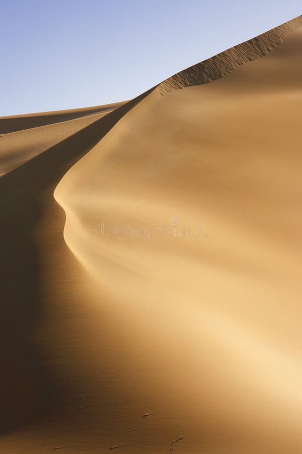 Curved desert dune